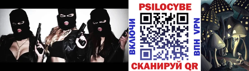магазин    Калач-на-Дону  Галлюциногенные грибы ЛСД 