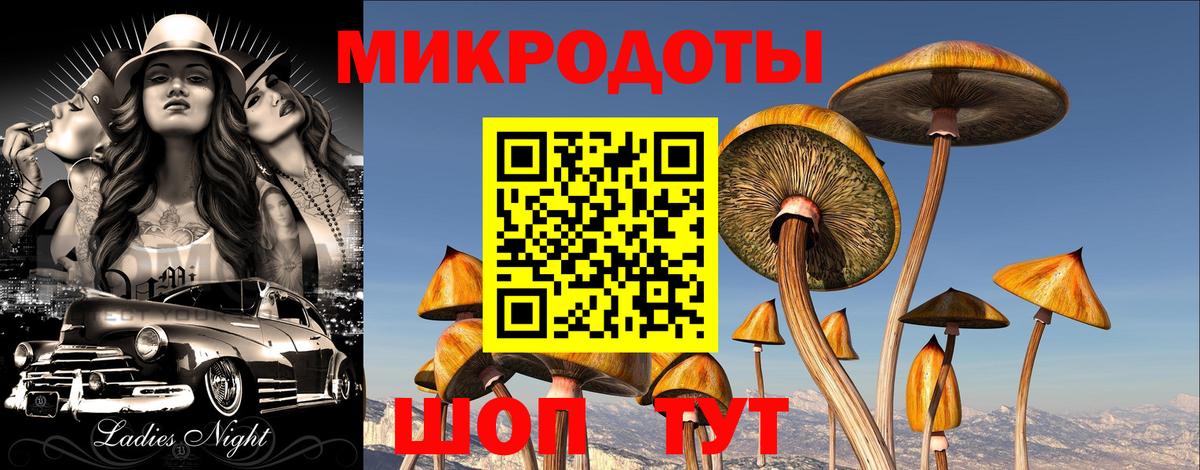 Псилоцибиновые грибы прущие грибы Калач-на-Дону