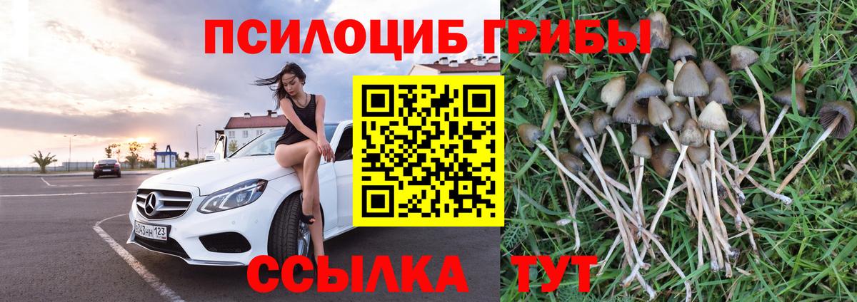 Калач-на-Дону  Меф МЯУ МЯУ кристаллы  МЕФ кристаллы  ГАШ  Марихуана  COCAIN  МЕТАМФЕТАМИН 